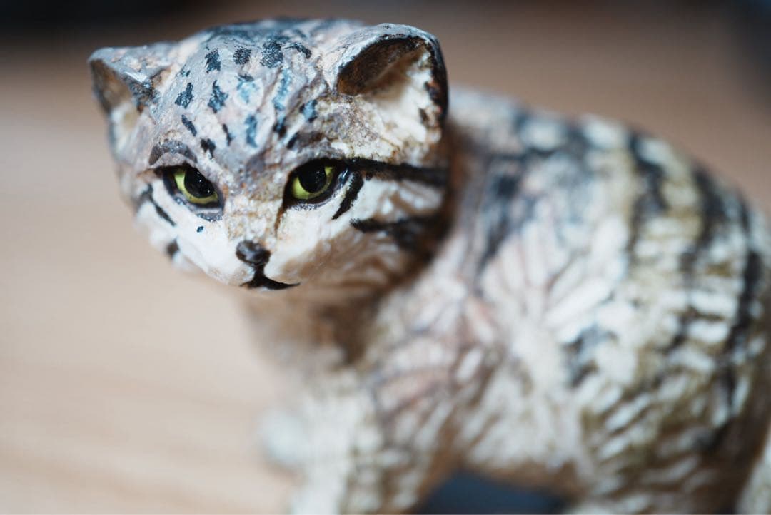 ソニー Eマウントレンズ E3.5/30 macro SEL30M35