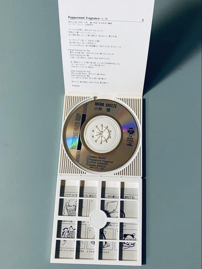 激レア　小林健 WARM BREEZE 8cm 希少88年