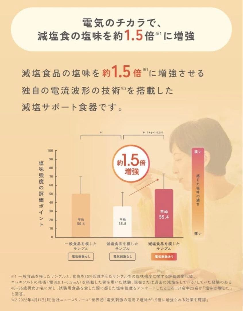 《新品未開封》エレキソルトスプーン