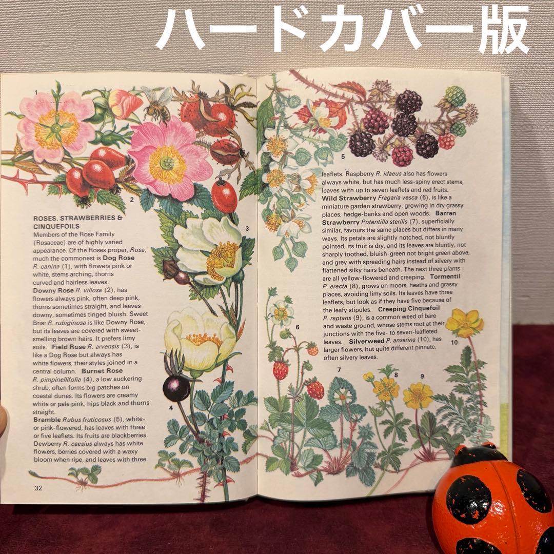 225④1989年イギリスの植物図鑑 洋書古書 ジャンクジャーナル ボタン