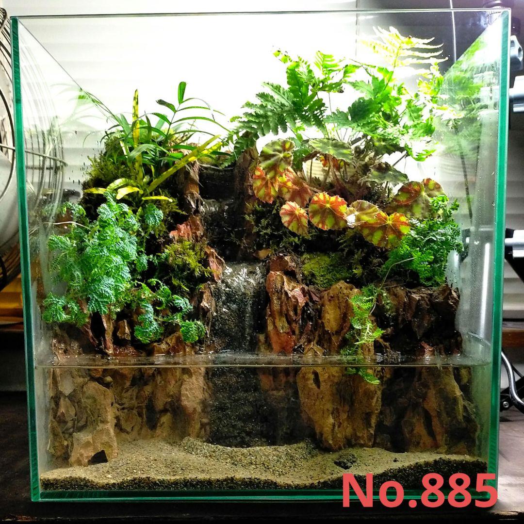 滝の流れるアクアテラリウム イモリウム No.885 - メルカリ