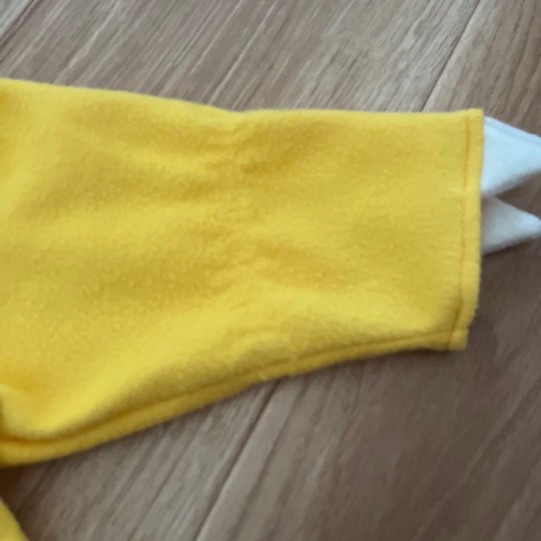 パニパニパイナ 衣装