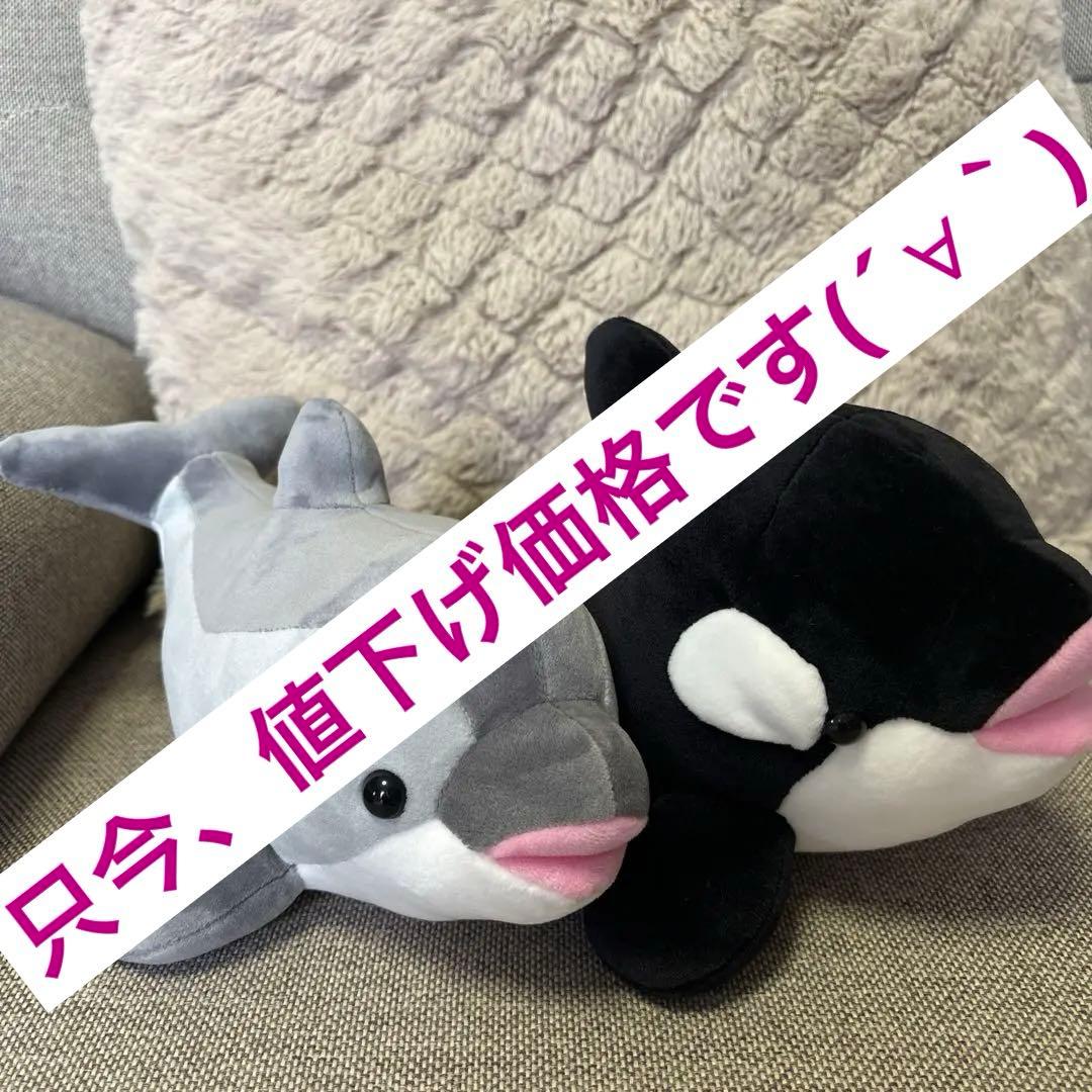 神戸須磨シーワールド オルカくじ イルカくじ 4等 シャチ ぬいぐるみ