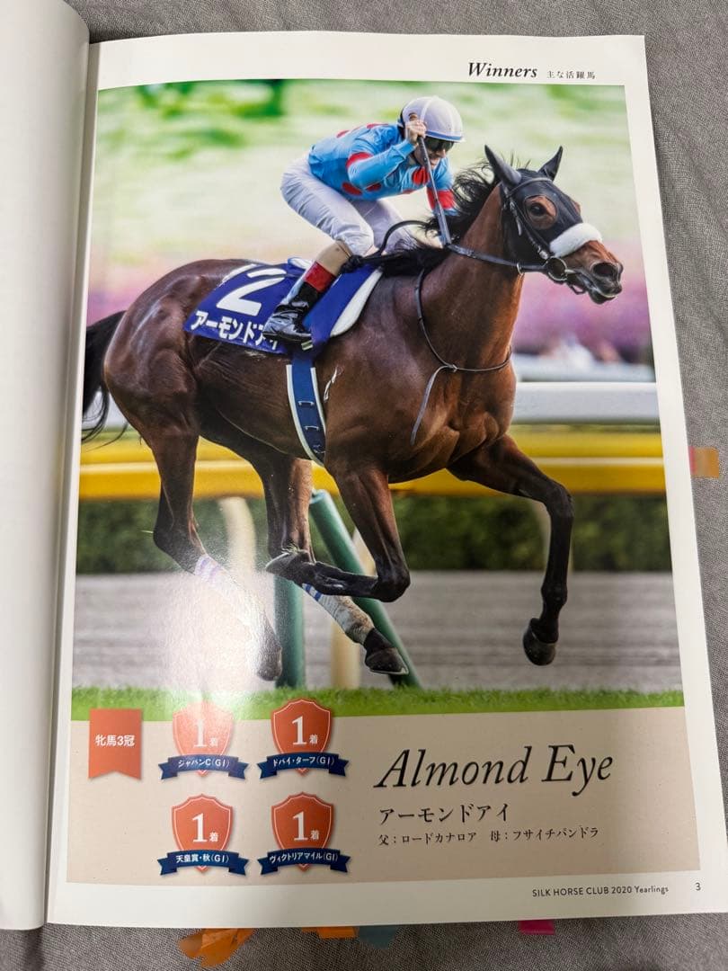 競馬非売品 2020年イクイノックス募集時 カタログ募集時馬体重メモ記載