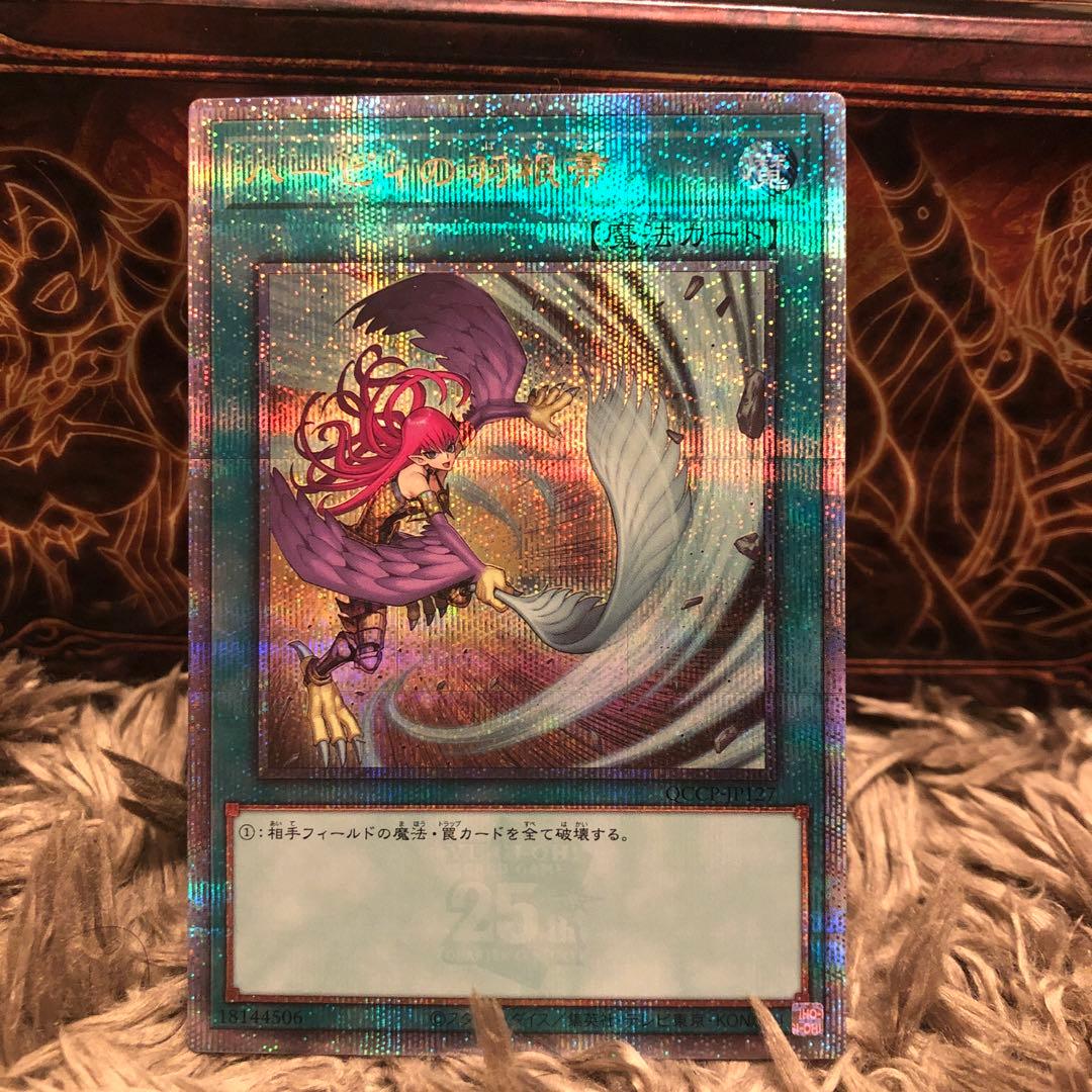 ハーピィの羽根箒 25th イラスト違い 絵違い - メルカリ