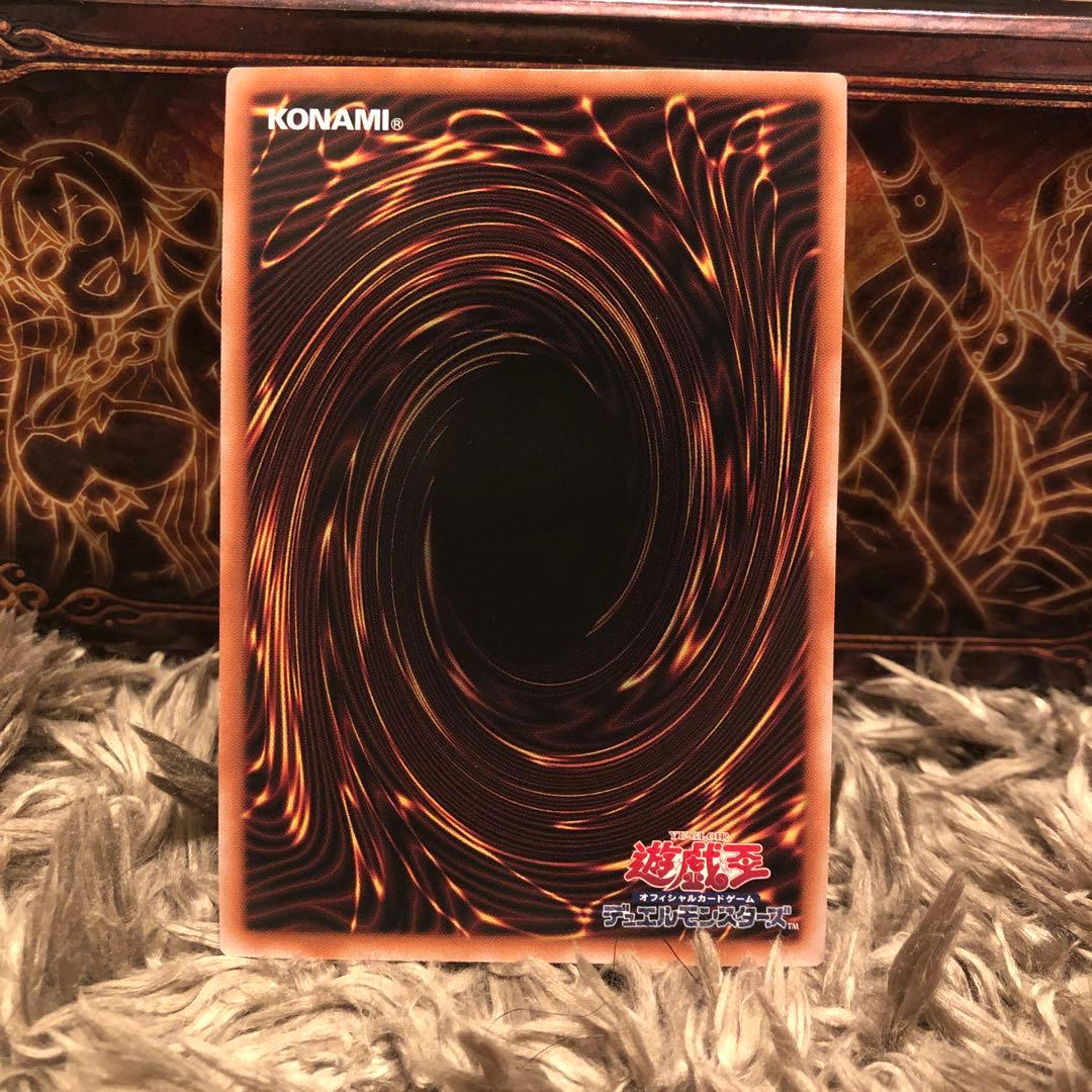 ハーピィの羽根箒 25th イラスト違い 絵違い - メルカリ