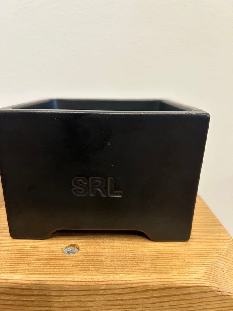 neighborhood SRL つかもと 鉢 3点セット