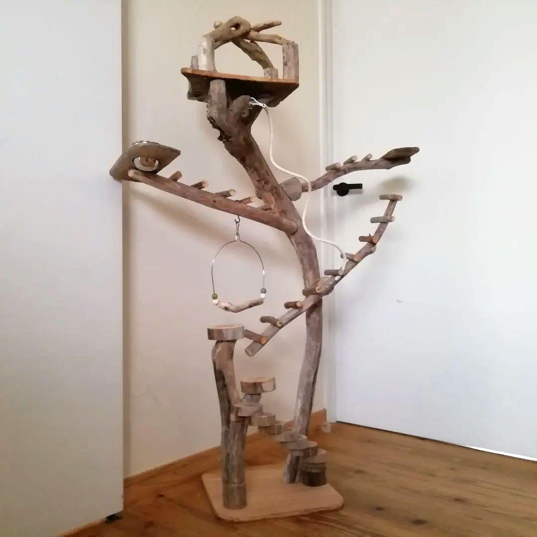 バードアスレチックジム㉚ 天然木 自然木 流木 止まり木 インコ遊び場