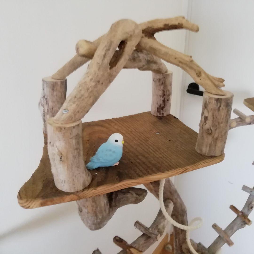 バードアスレチックジム㉚ 天然木 自然木 流木 止まり木 インコ遊び場