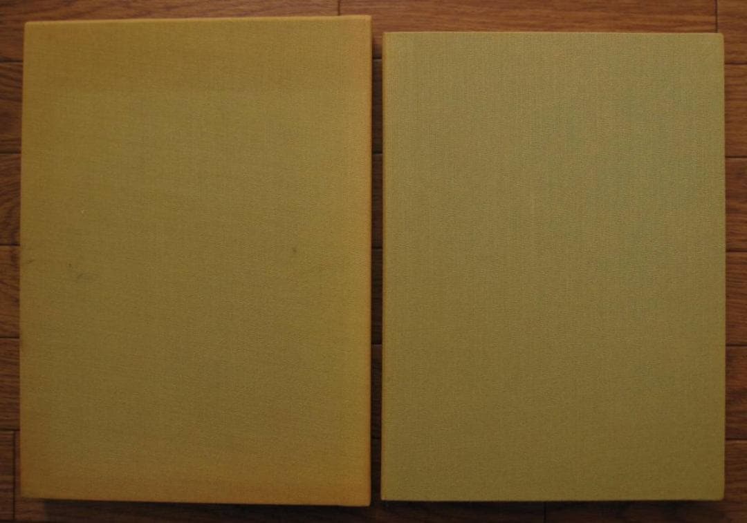 悪徳の暹羅双生児もしくは柱とその崩壊 相澤啓三 建石修志 リトグラフ