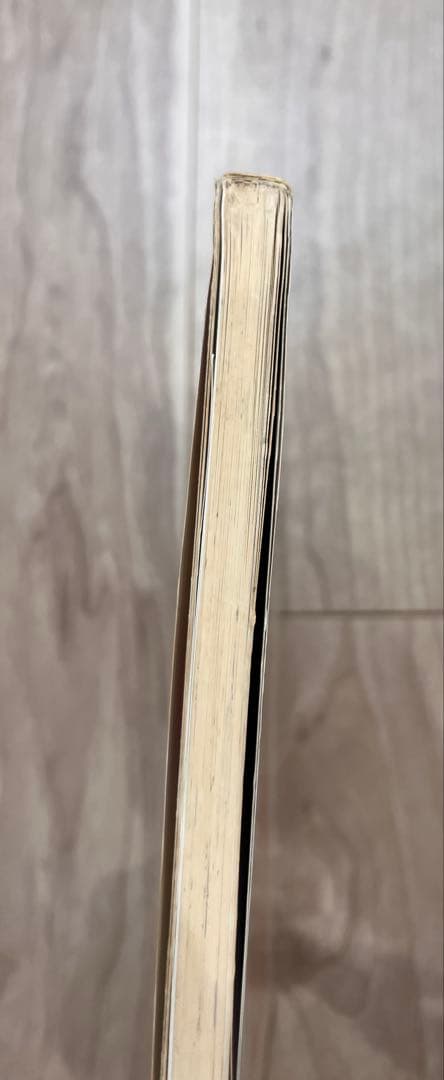 希少 MINKY-MOMO原画集 初版サイン入PRINCESS OF MAGIC - メルカリ