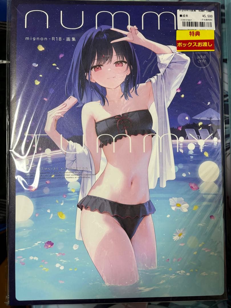 mignon画集　NUMMYTUMMY