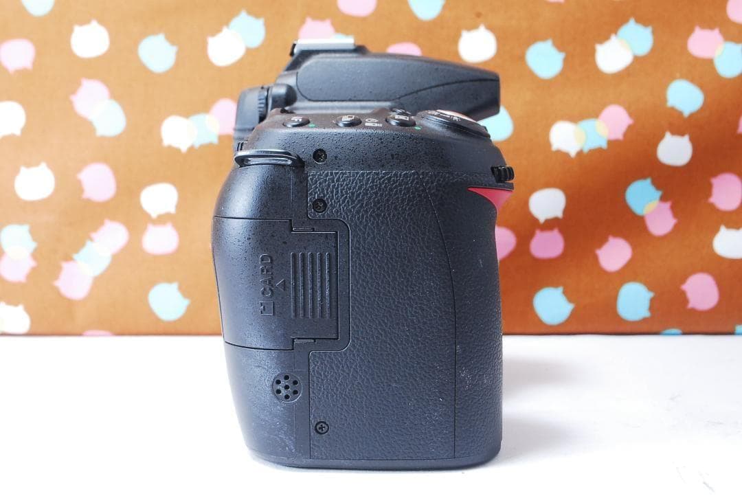 ✨ショット回数1978回✨望遠レンズセット✨Nikon D90 レンズセット