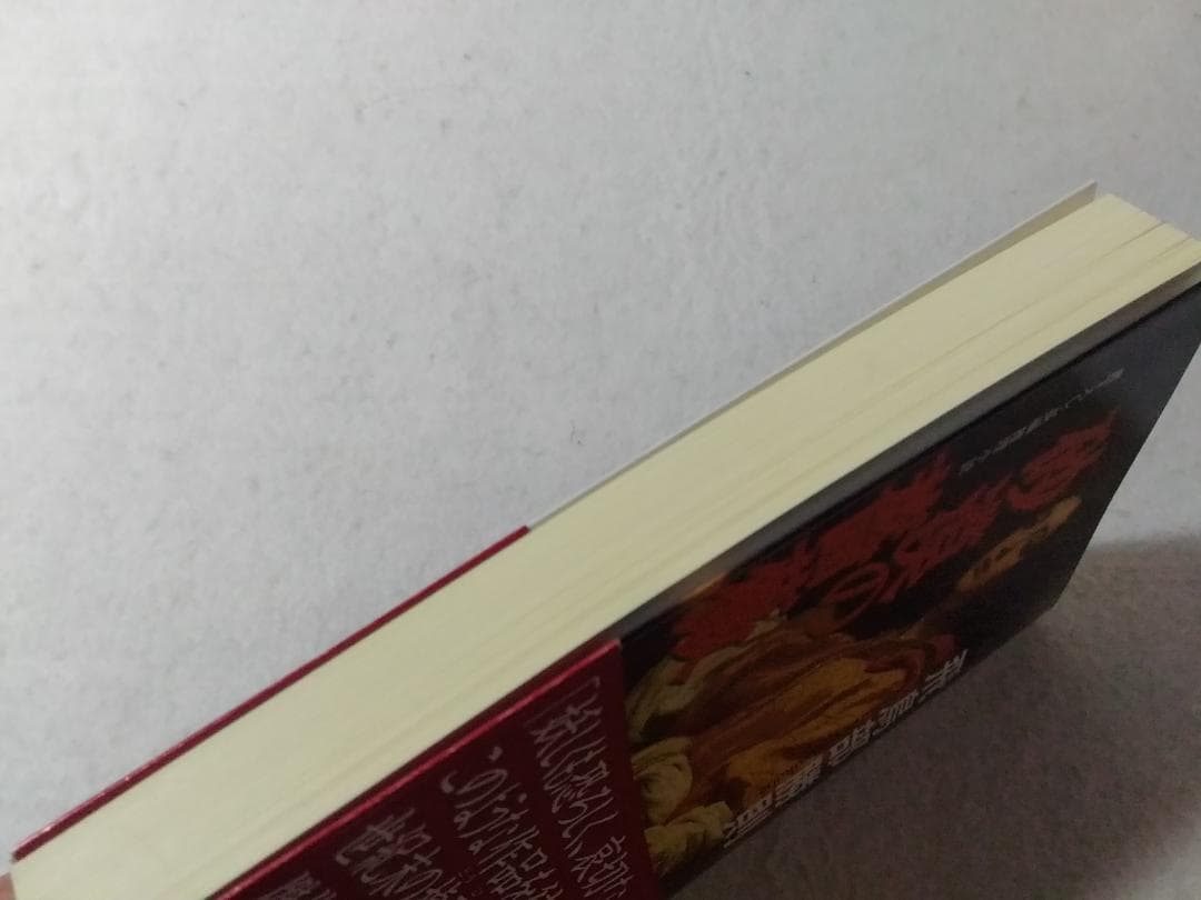 砂漠の薔薇 カッパノベルス 新書 飛鳥部勝則 書下ろし長編推理小説