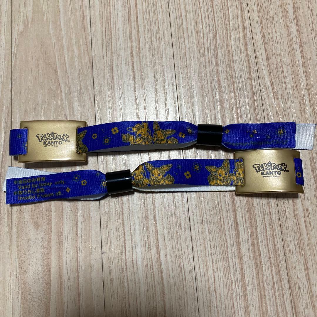 ポケパークカントー エリートトレーナーズパス 特典セット ＋おまけ