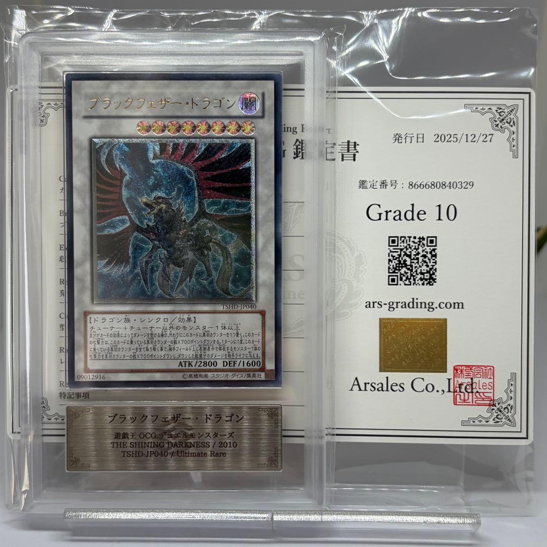 みき様 【ARS10】 ブラックフェザードラゴン レリーフ - メルカリ