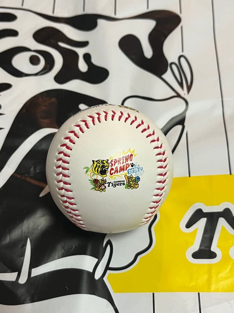 阪神タイガース 立石正広 直筆サインボール 2026 沖縄キャンプ球
