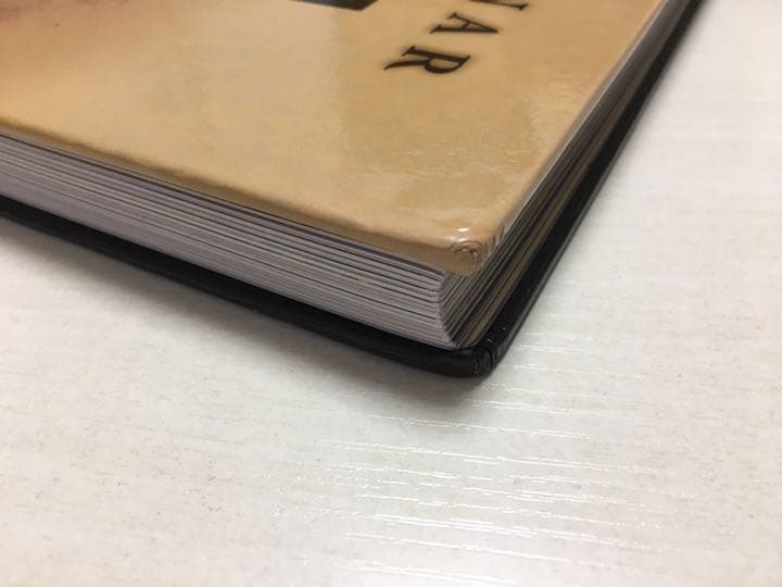 洋書 アントン・モルナー 画集 Gefrodinspex Collector