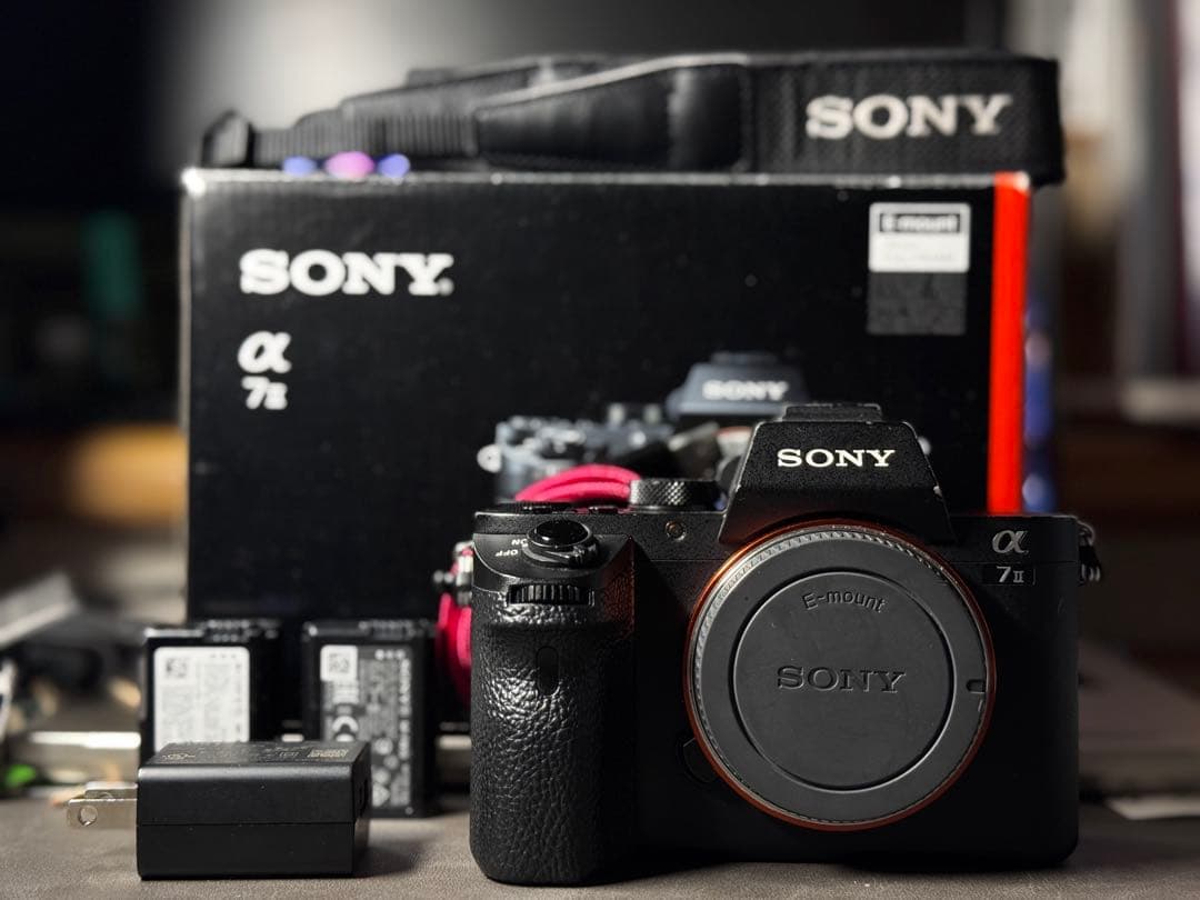 SONY α7 II ミラーレスカメラ 本体 ボディ/純正バッテリー2個付 α7 II | デジタル一眼カメラα（アルファ） | ソニー
