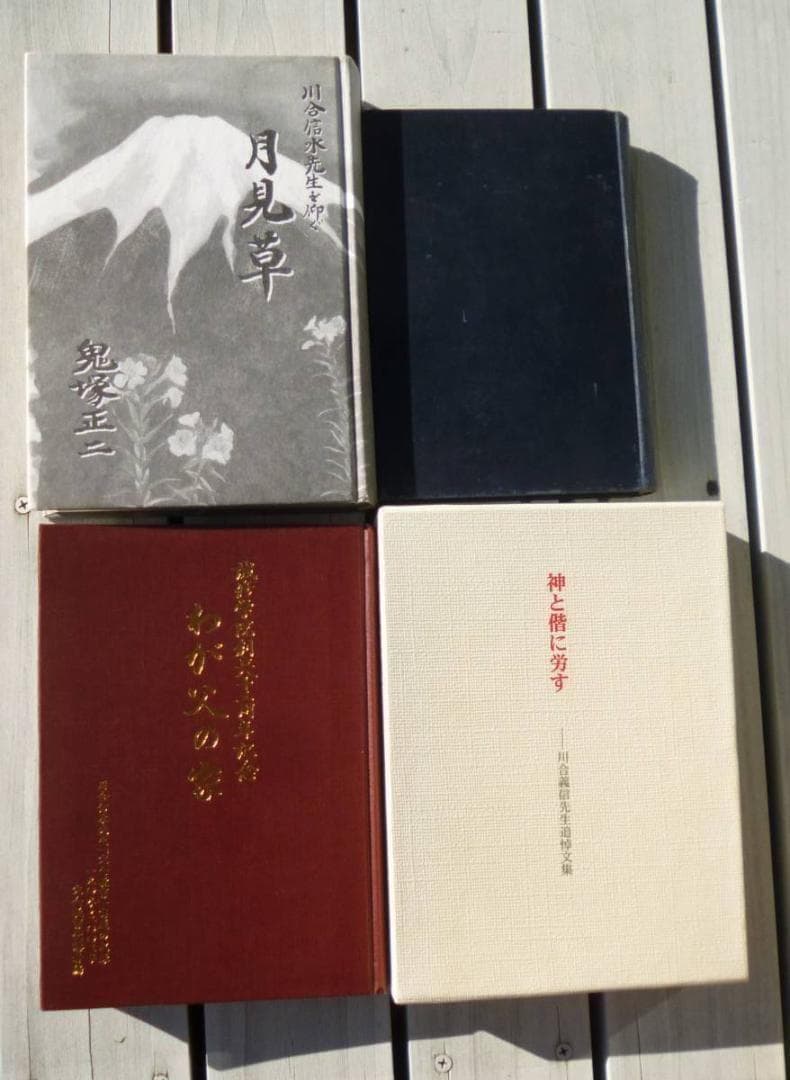 【入手困難】川合信水 　全11冊　論語教話　川合山月 肥田春充　儒教　新井奥邃