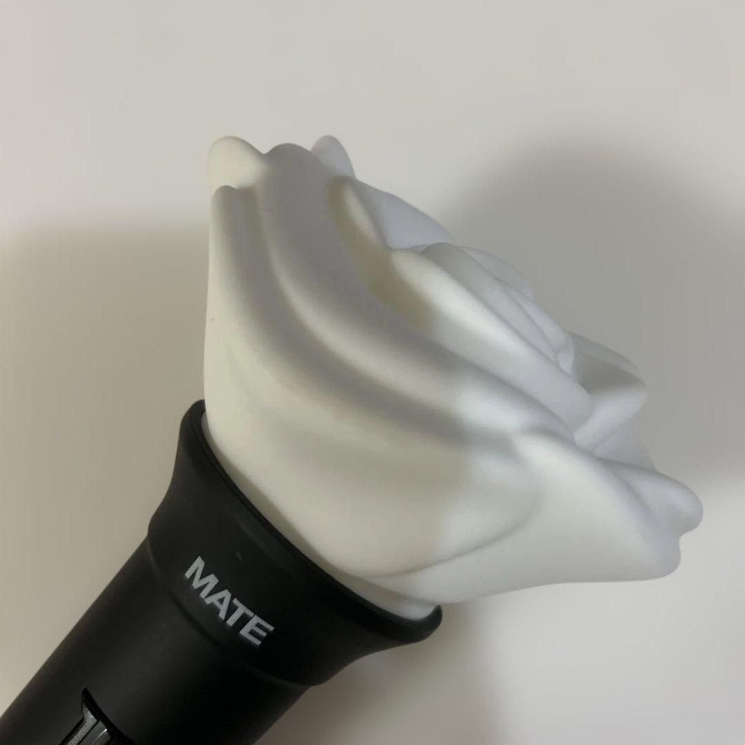 三代目JSB ペンライト ライトスティックケース ストラップ付き ローズ