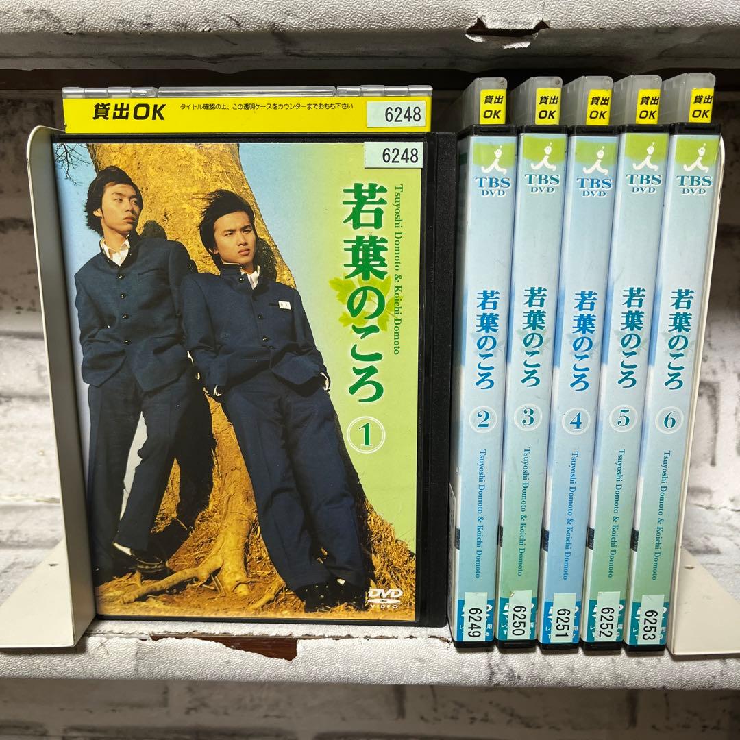 TBSドラマ 若葉のころ DVD 1-6巻 全巻セット - メルカリ