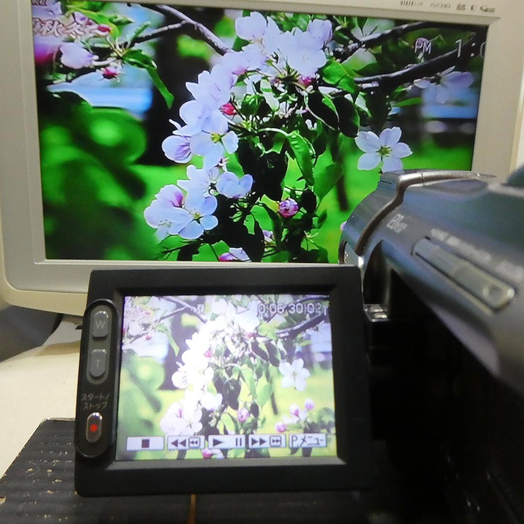 動作品 ソニーDCR-HC88 MiniDV ビデオカメラDVDダビングに最適 - メルカリ