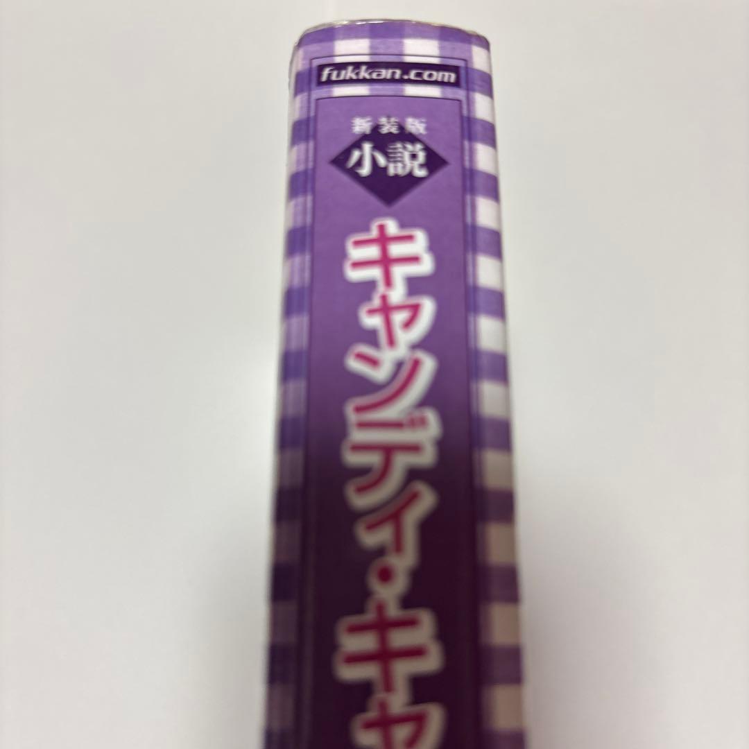 新装版 小説 キャンディ・キャンディ 名木田恵子著 - メルカリ