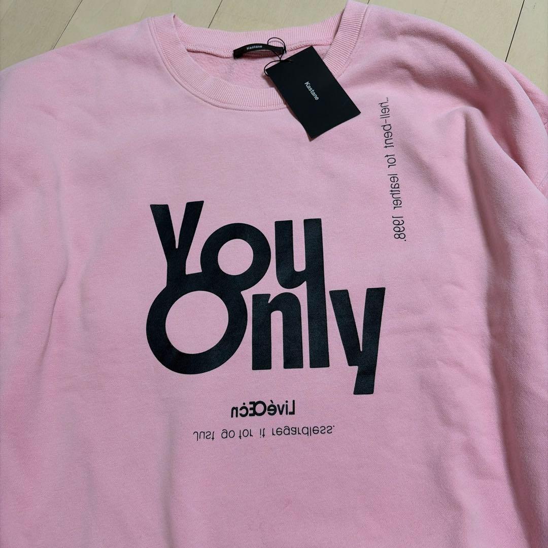 kastaneカスタネ山田yamada企画ウォッシュドロゴスウェット ピンク