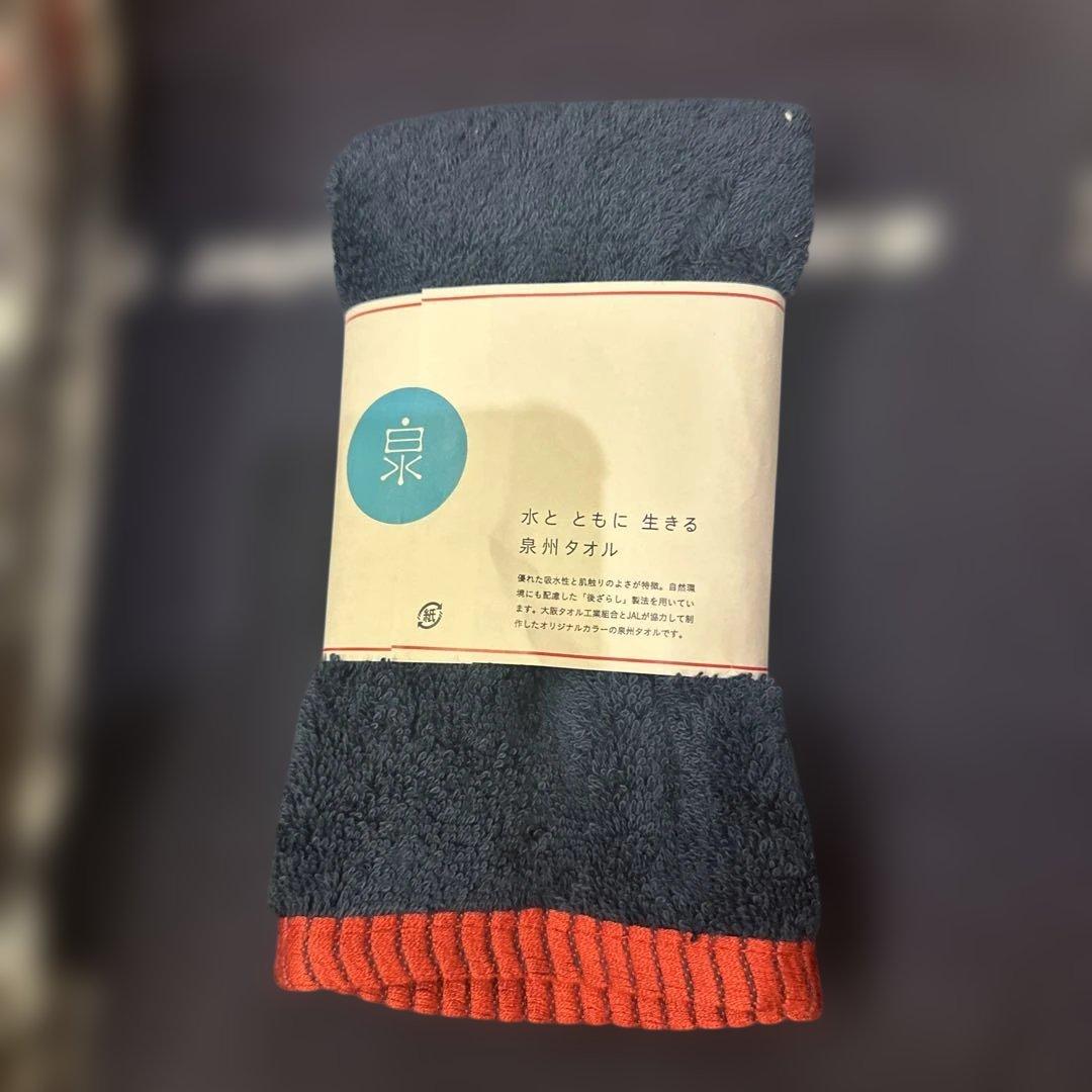 JAL 初日の出フライト 2026 記念品セット - メルカリ