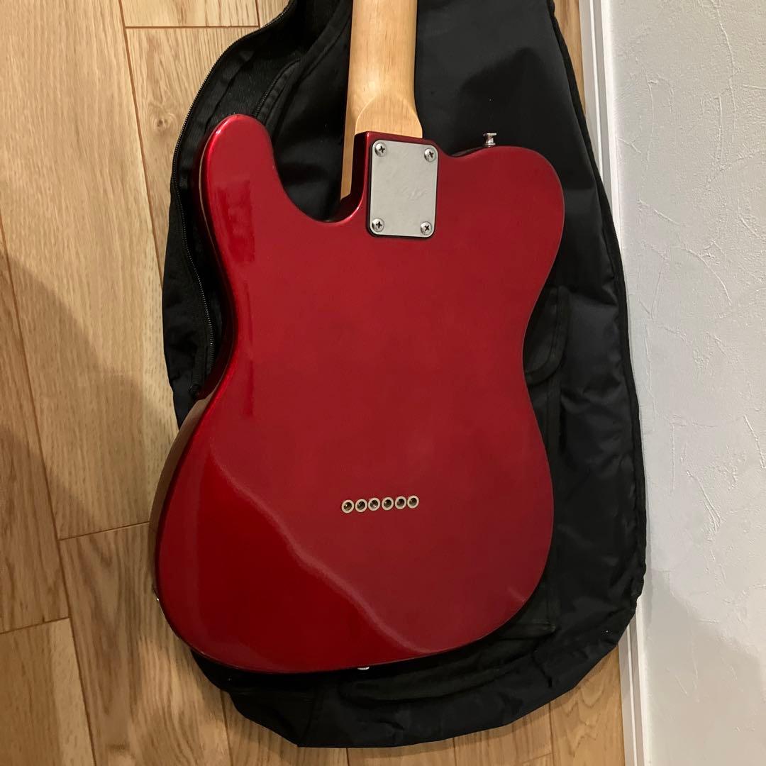 PLAYTECH（プレイテック）エレキギタ カバーセット売り