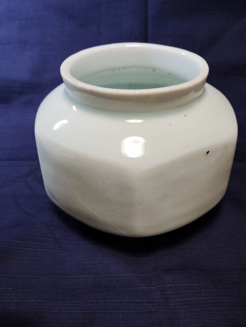 八角形 陶器 八角形の陶器でサボテンを種から育てる栽培キット「HACHIKAKU CACTUS