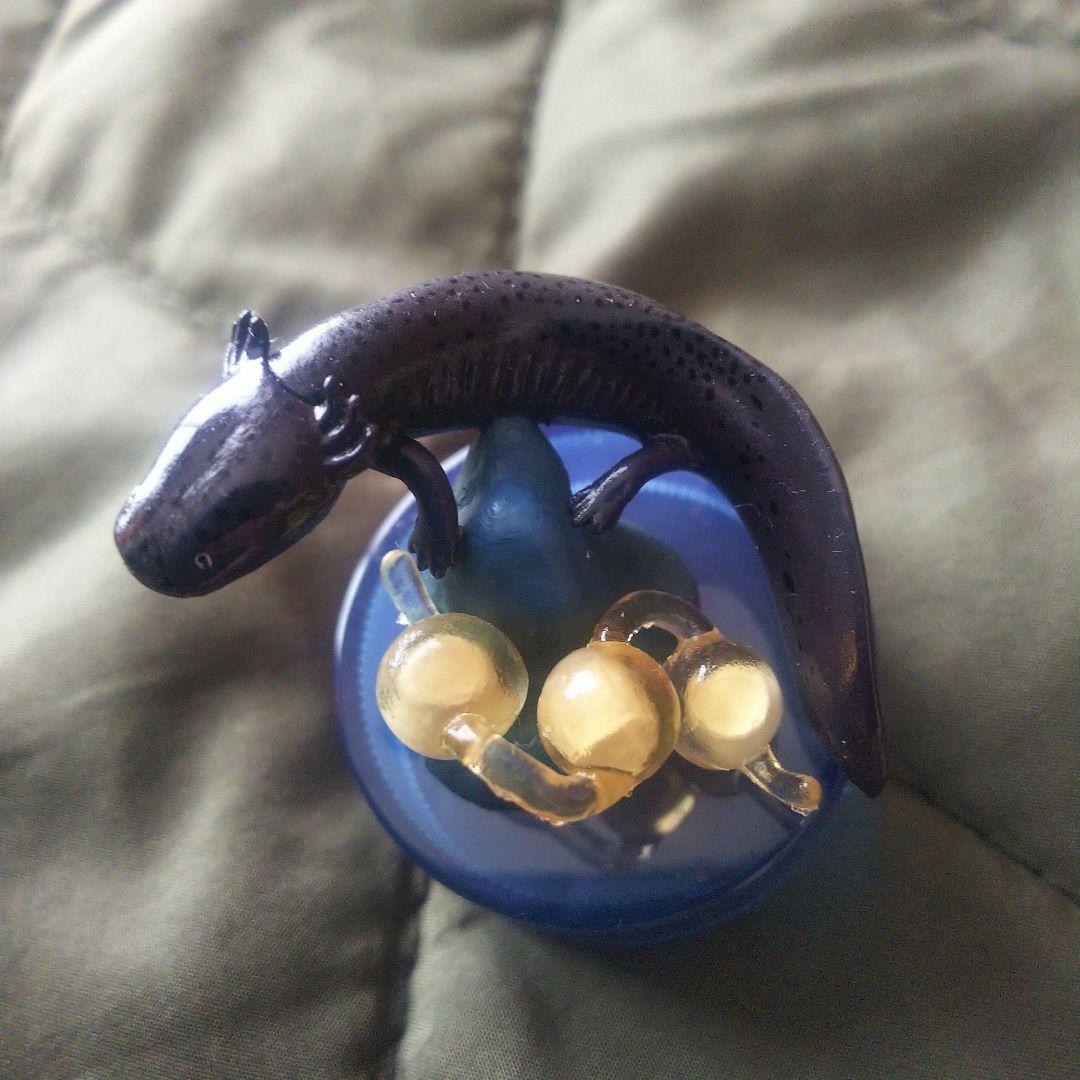 オオサンショウウオ卵と幼生【 京都水族館オープン記念限定 】海洋堂