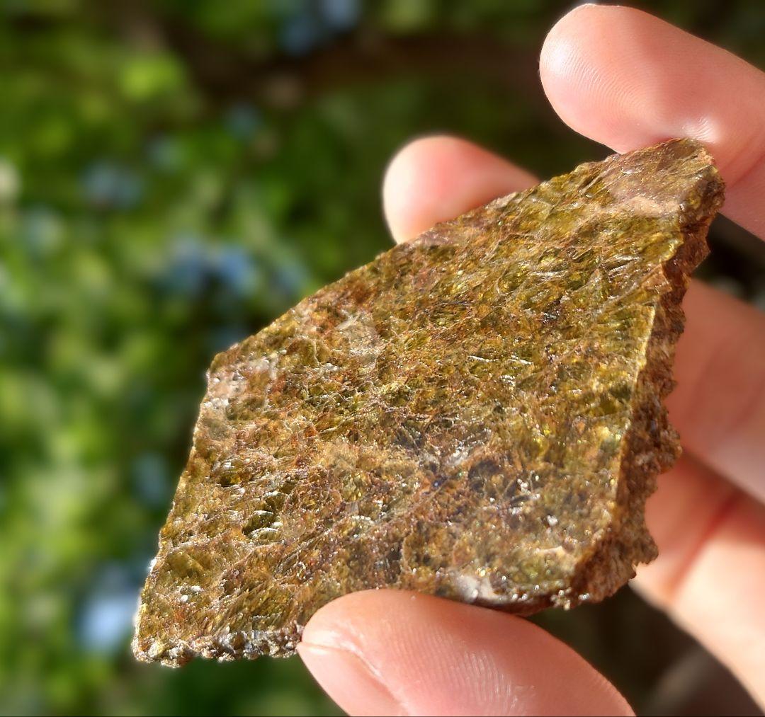 NWA 7831 隕石　ダイオジェナイト 41.1g　小惑星ベスタ ⭐