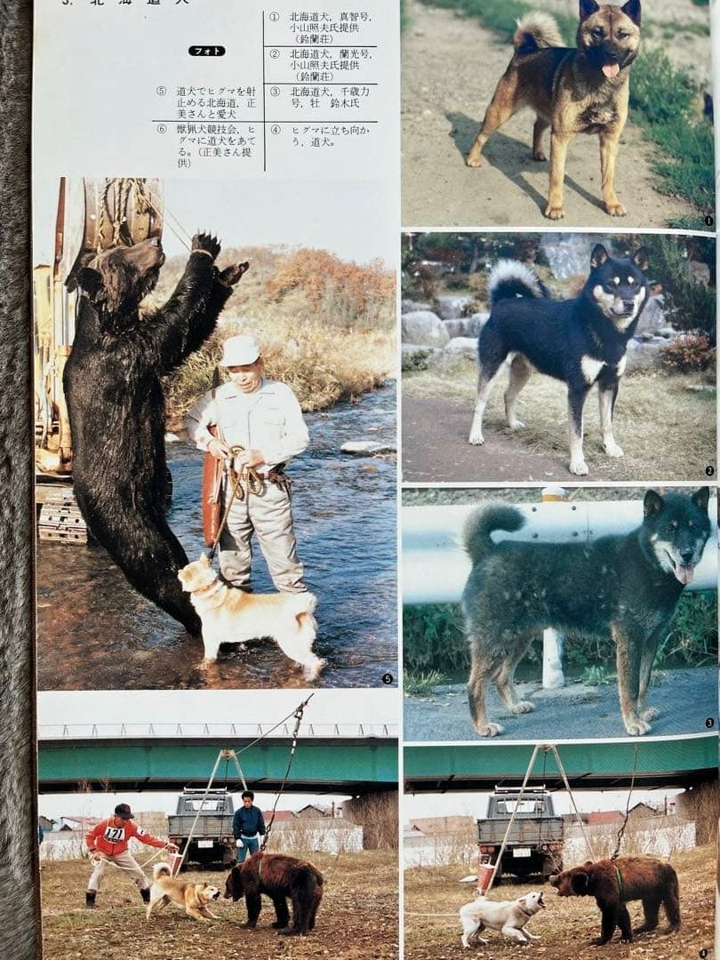 天然記念物日本犬【希少学術書】