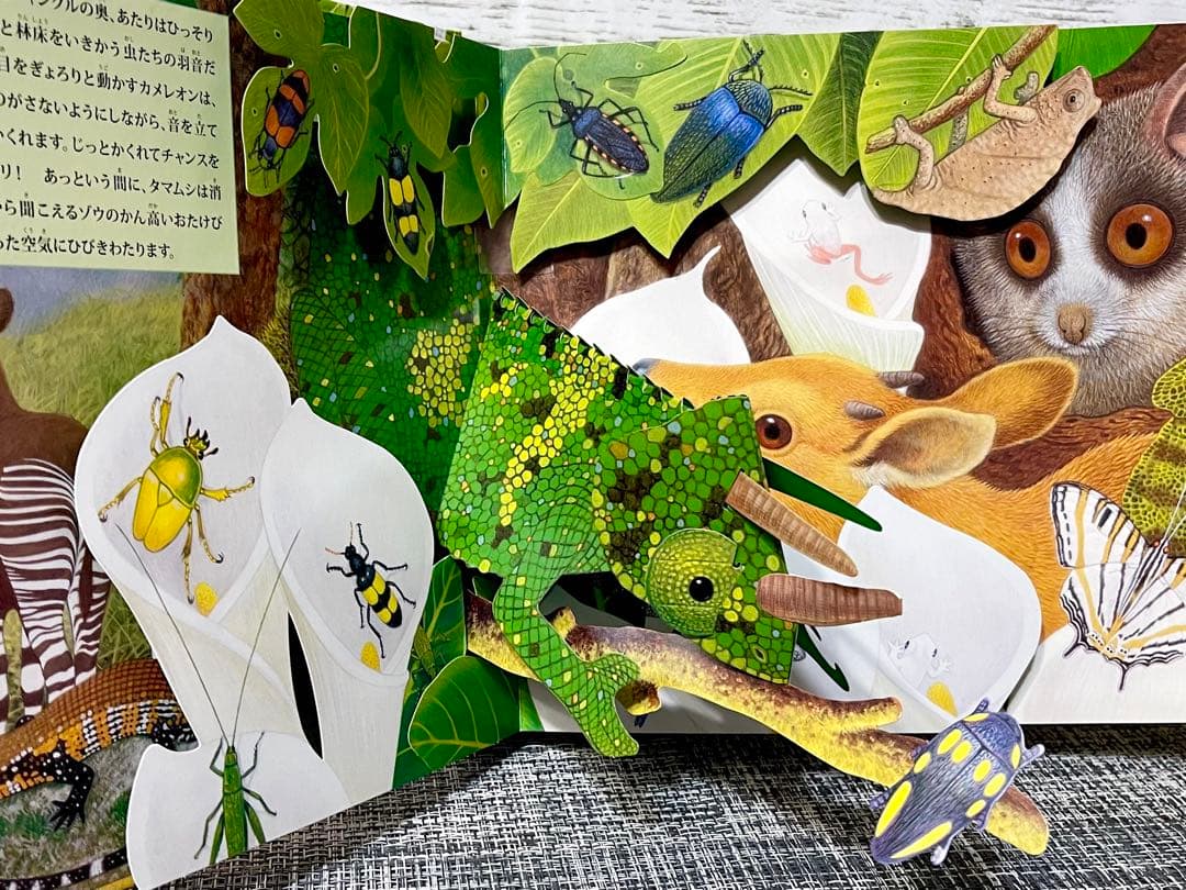 ジャングル : 動物の鳴き声 : 音がでるとびだししかけえほん - メルカリ