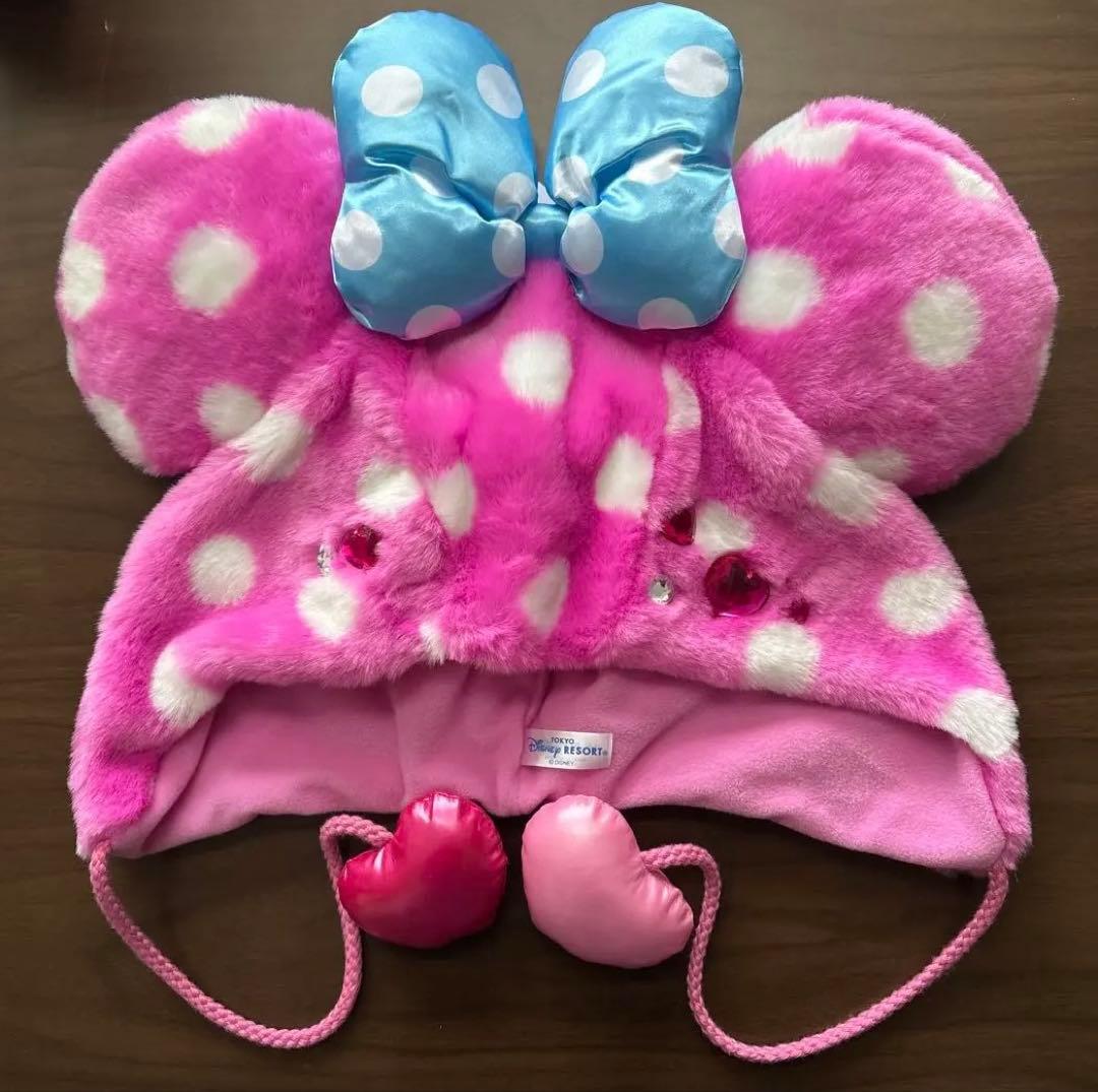 ミニーのファンダーランド ディズニーパルパルーザ ミニパル ファン