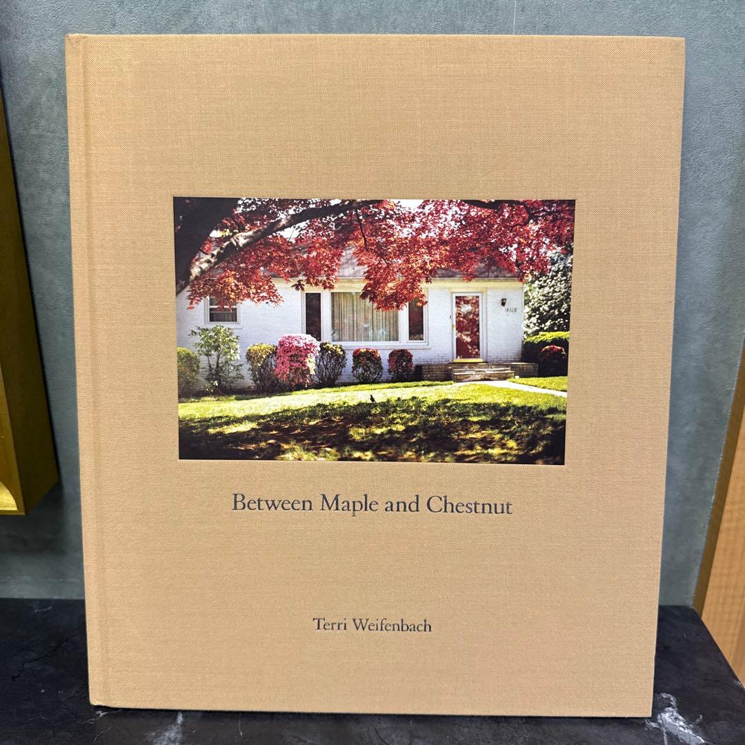 Terri Weifenbach 写真集