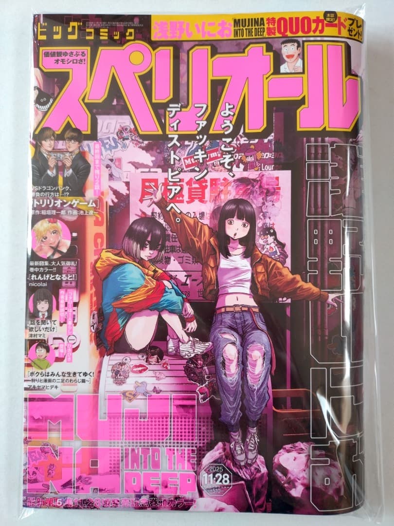 【希少】【美品】【MUJINA INTO THE DEEP】スペリオール 2冊