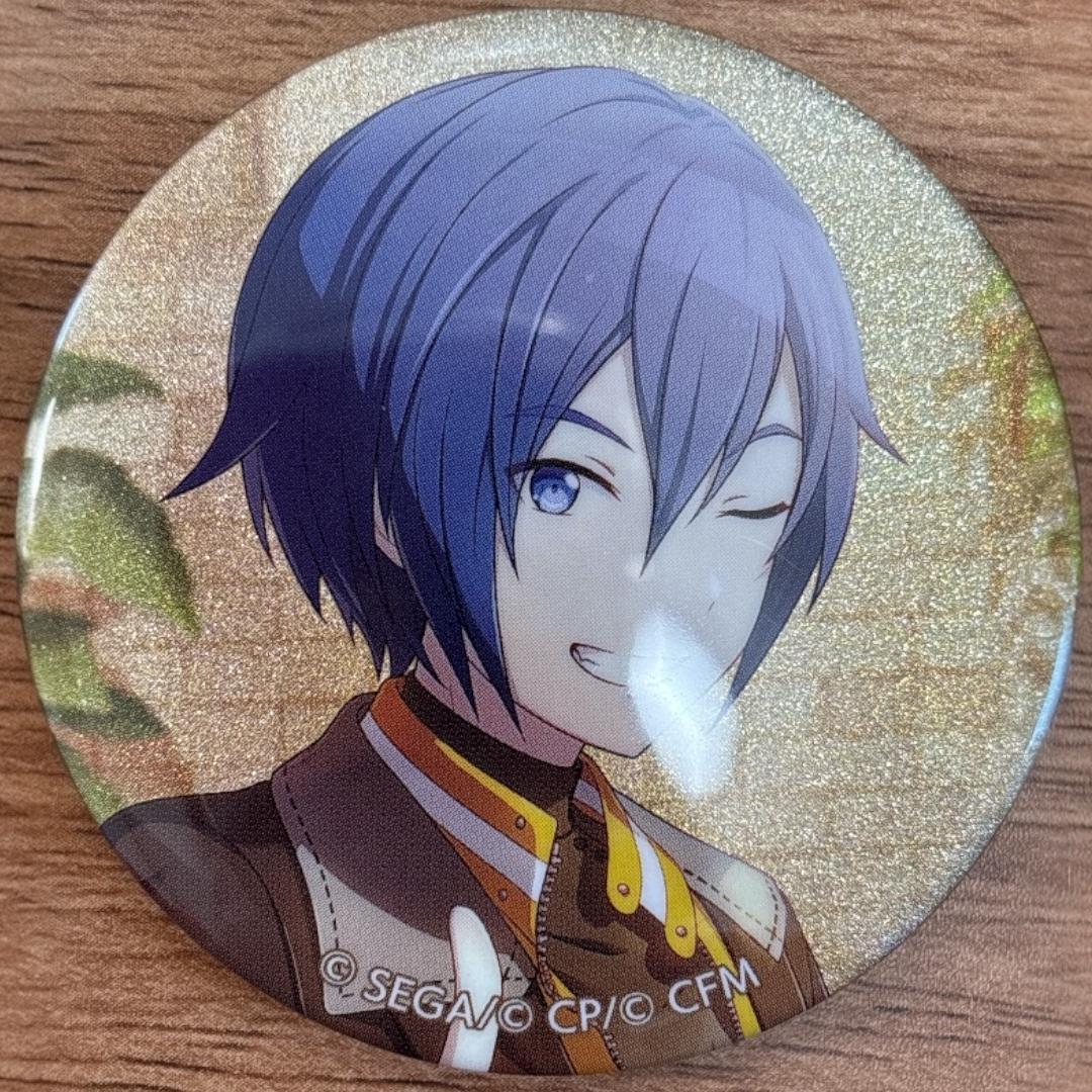 KAITO プロセカ グリッター缶バッジ 47A 30個 - メルカリ