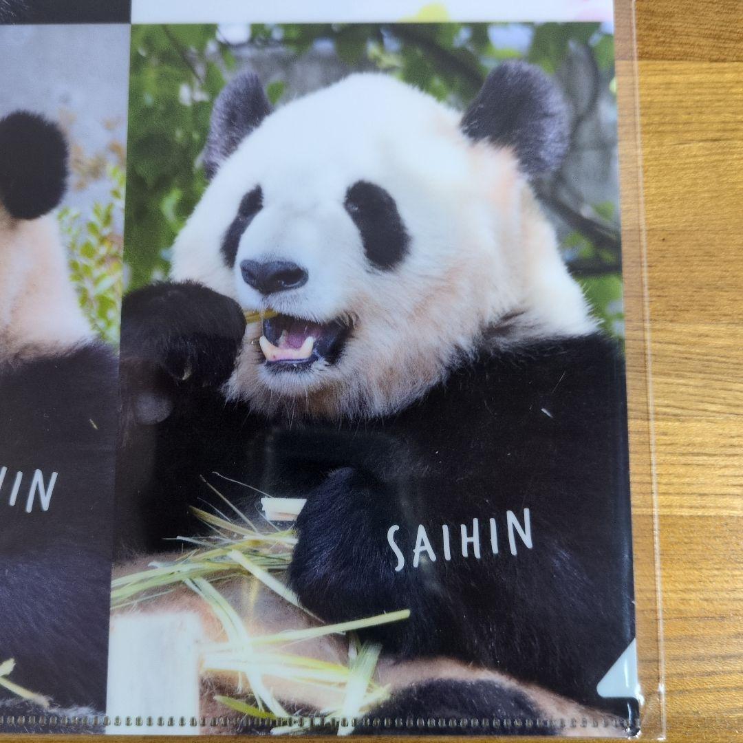 アドベンチャーワールド パンダファミリー A4 クリアファイル 未使用