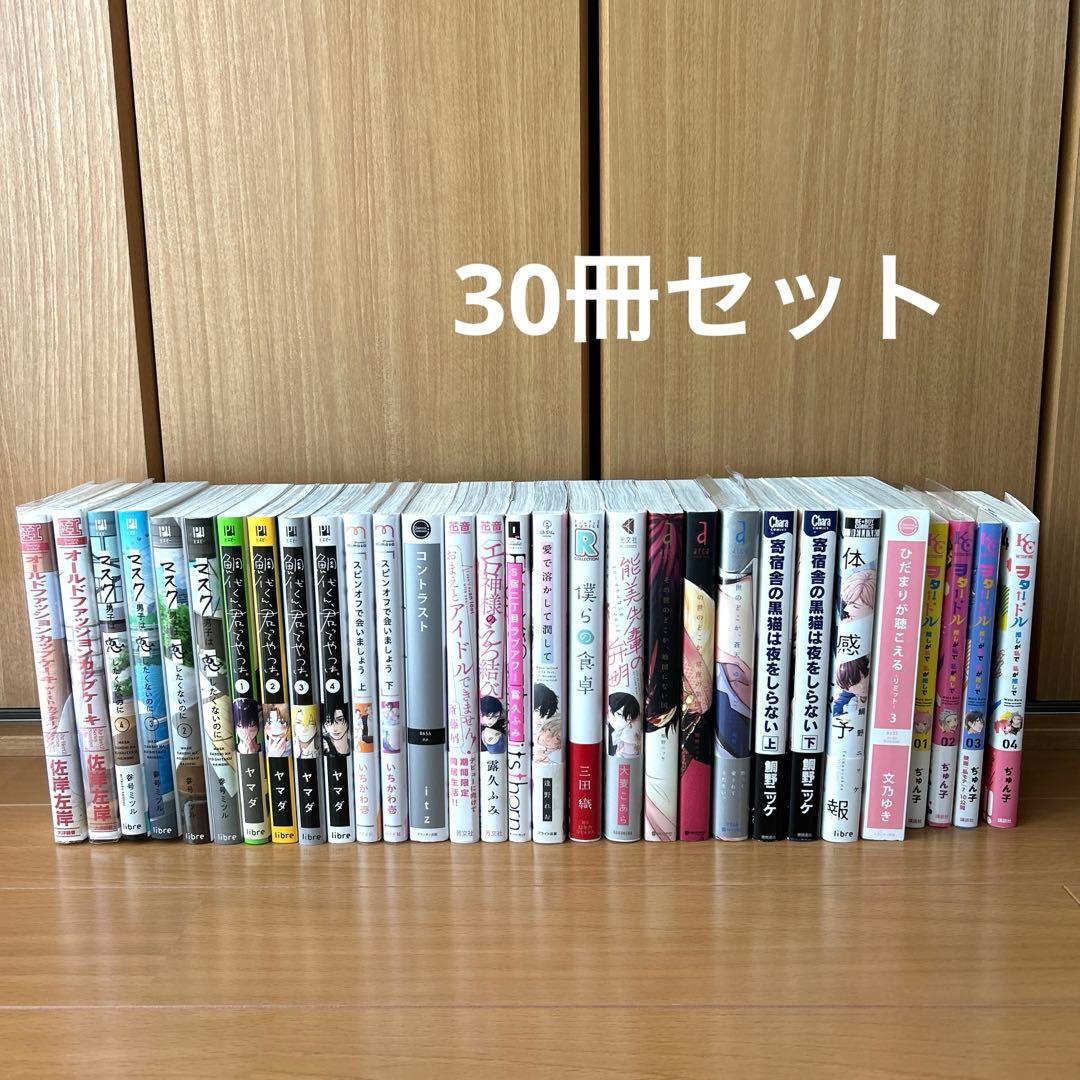BL漫画 ボーイズラブ 30冊セット 能美先輩の弁明 体感予報 など まとめ