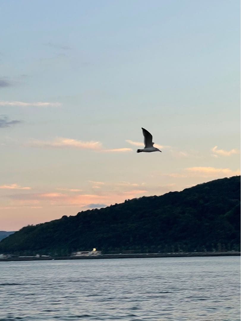 新作❣️Wフラーレン❣️特大フラーレンIN天然フラーレン☆シュンガイト☆