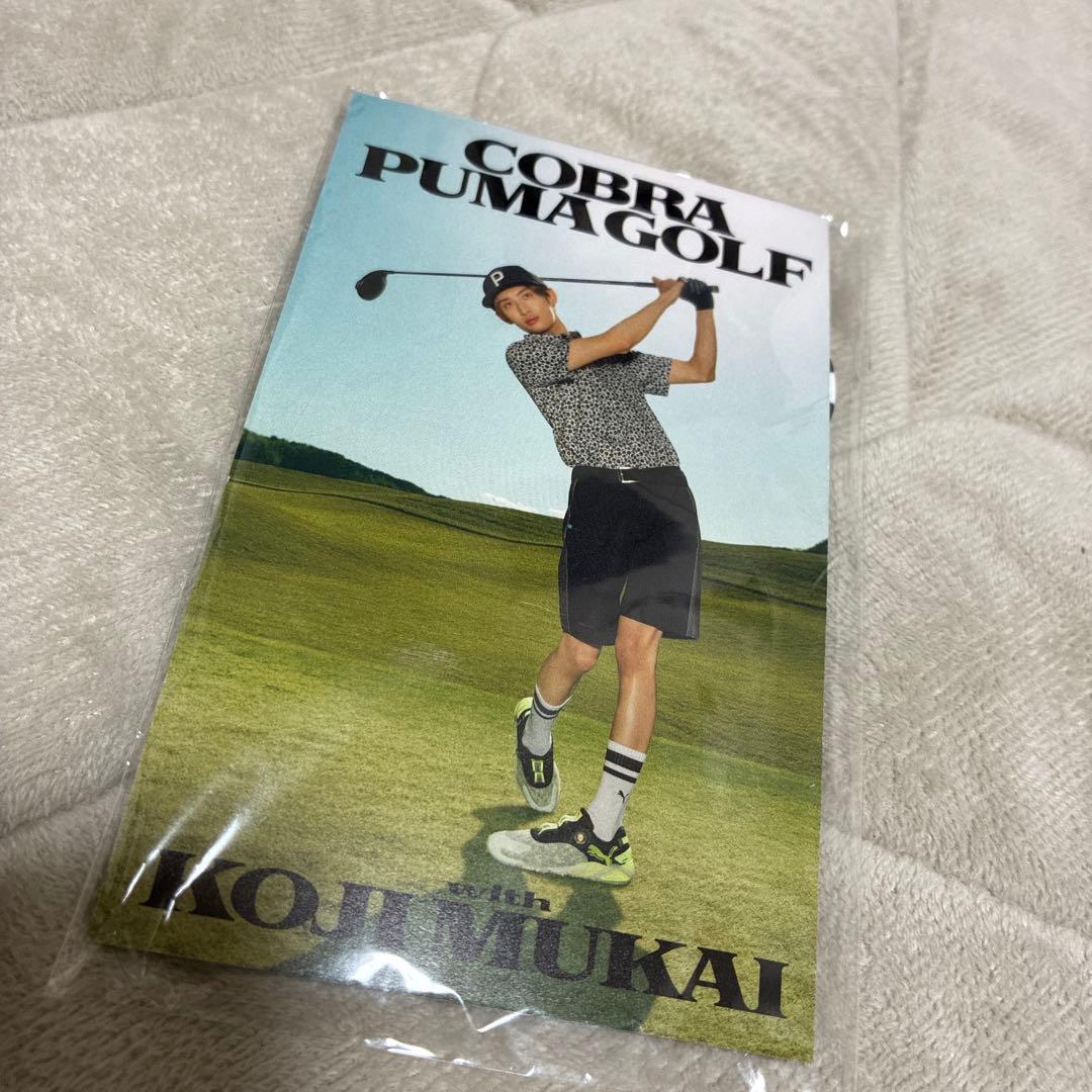 新品未開封 限定品 COBRA PUMA SnowMan向井康二ゴルフマーカー - メルカリ