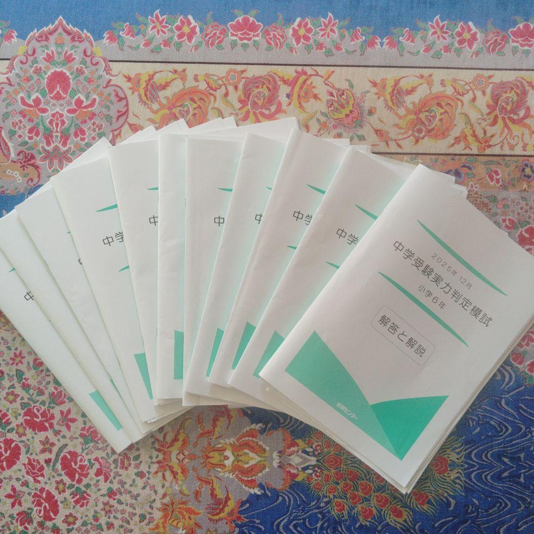 とよ様 専用 中学受験実力判定模試 小学6年 解答と解説