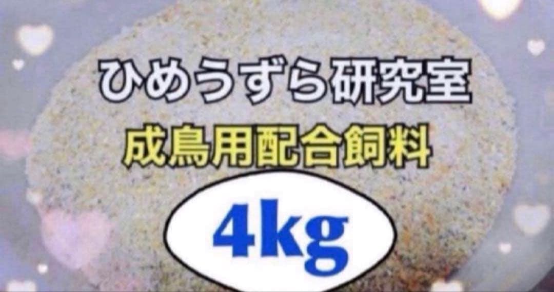 ひめうずら研究室 成鳥用配合飼料 4kg 鳥 餌 ヒメウズラ - メルカリ