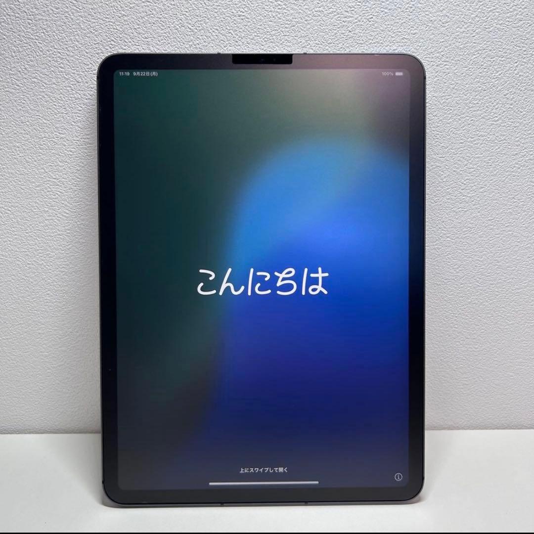iPadPro 11インチ 第3世代 M1 256GB セルラーモデル Apple iPad Pro 11インチ 第3世代 Wi-Fi+Cellular 256GB 2021年春