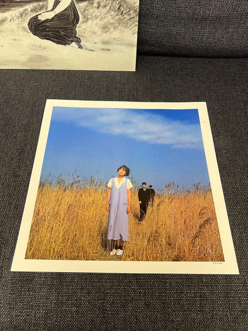 Jun Togawa Kyokutou Ian Shouka LP邦楽レコード - メルカリ