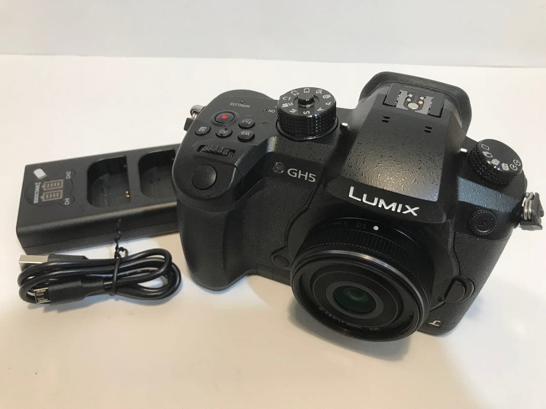 LUMIX Panasonic GH5 RD-SPM049 - メルカリ