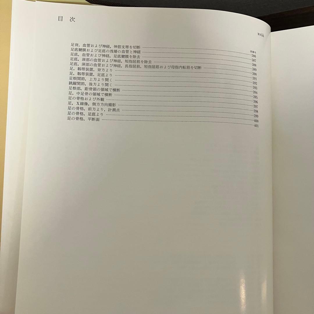 臨床応用局所解剖図譜 第2巻Pernkopf 解剖学アトラス ペルンコップ